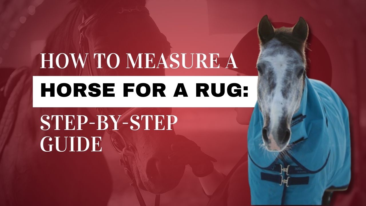 How To Measure A Horse For A Rug: A Step-By-Step Guide | Strathorn Farm ...