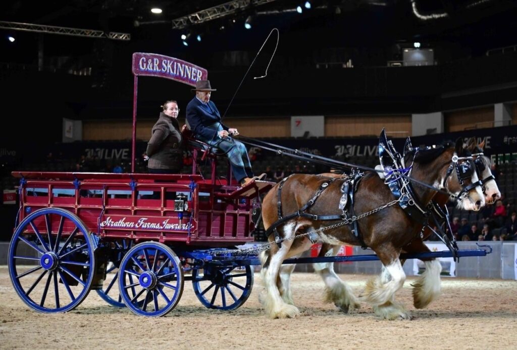 George Skinner driving at the world clydesdale show 2022