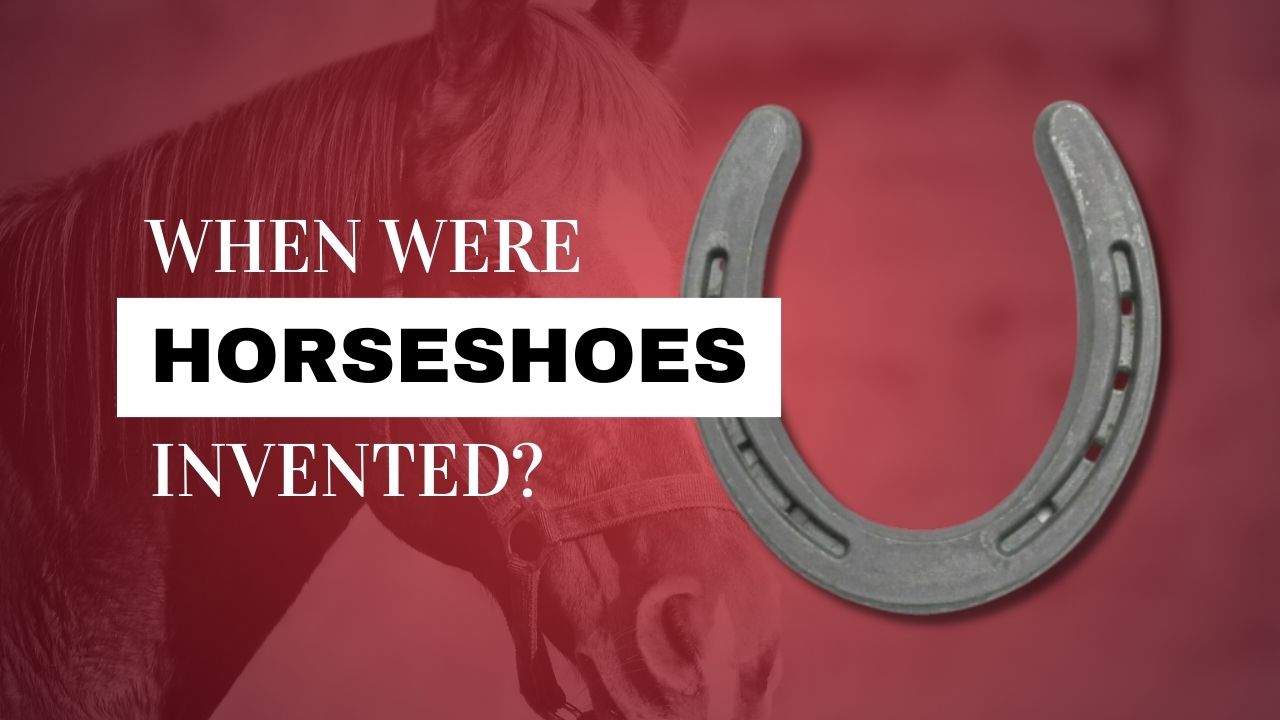 Have a horseshoe hanging around your barn? Is it up or down