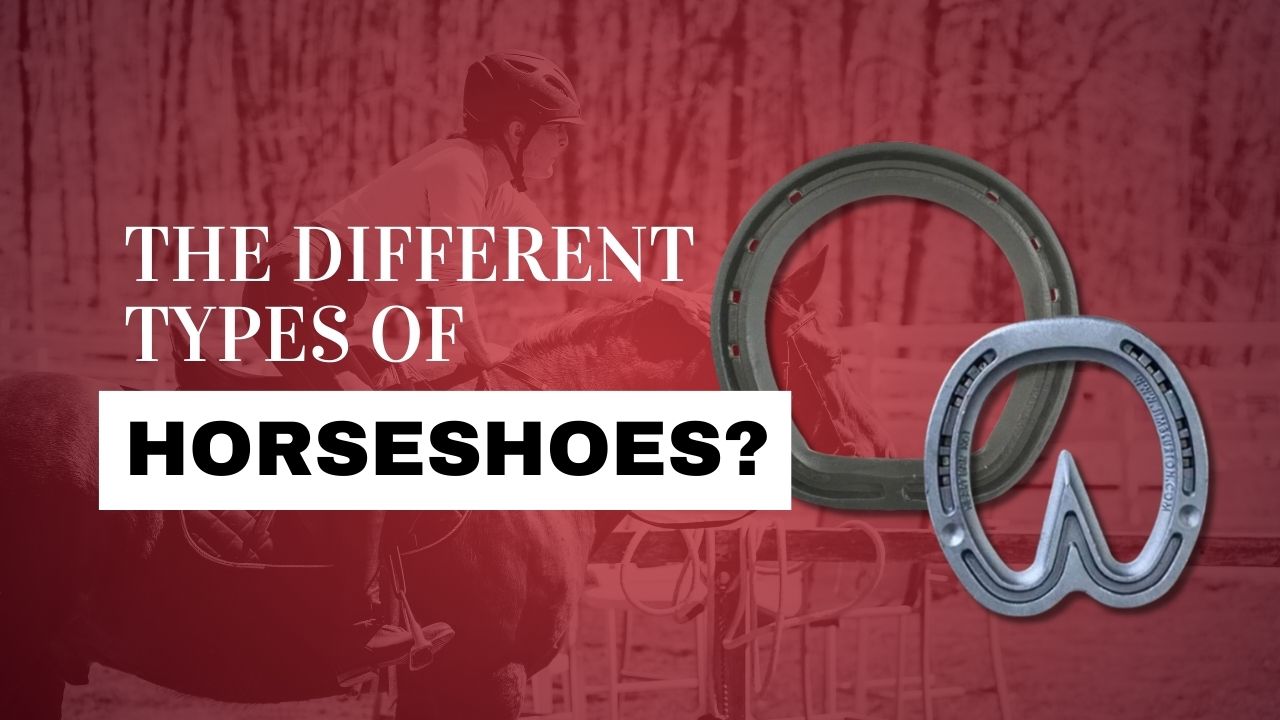 The Different Types Of Horseshoes