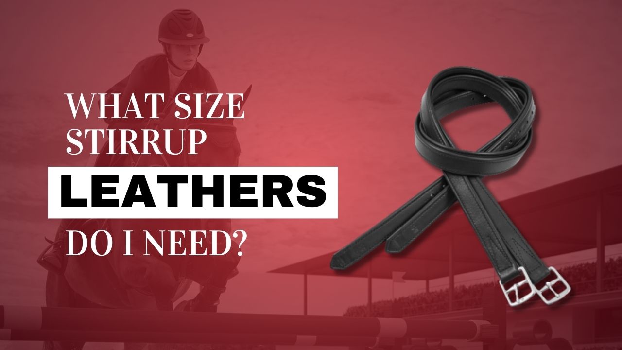 What Size Stirrup Leathers Do I Need?