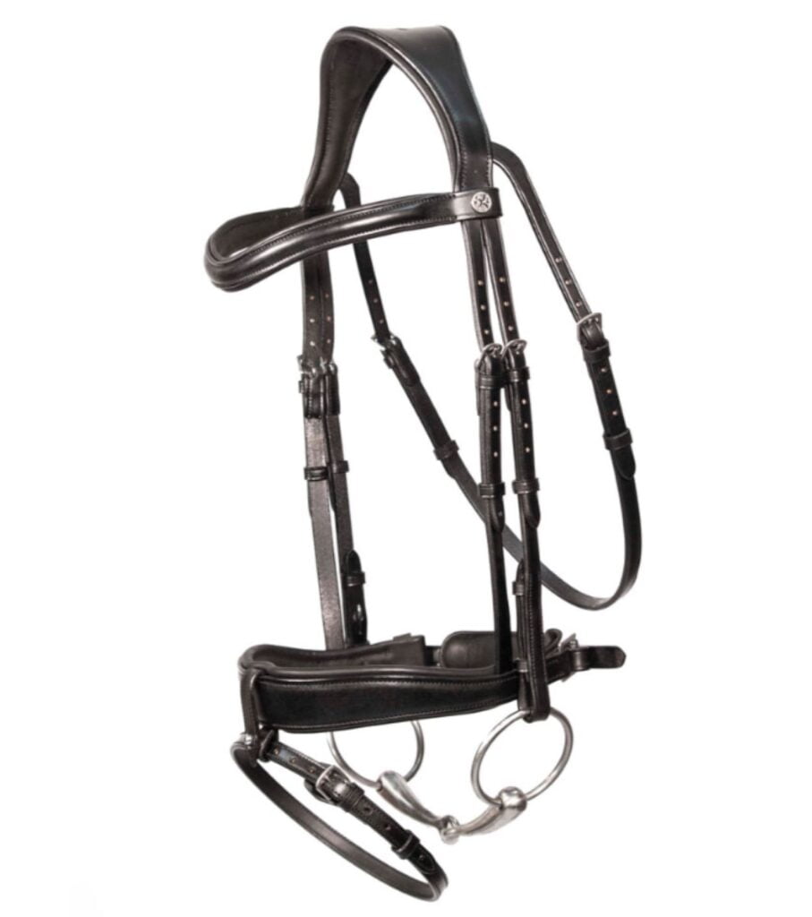 How to choose a bridle for your horse
