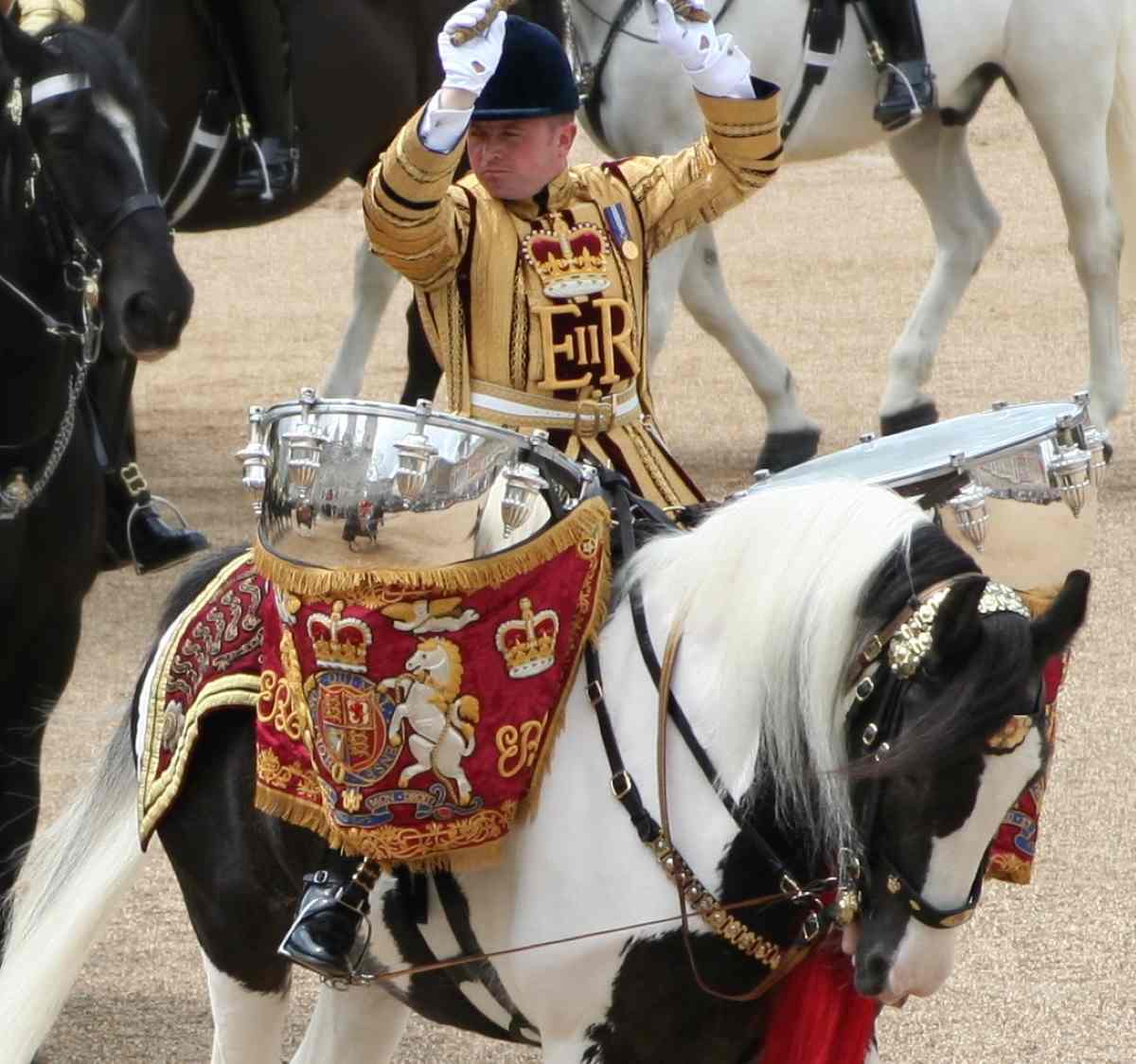 A Guide To The Drum Horse Breed Strathorn Farm