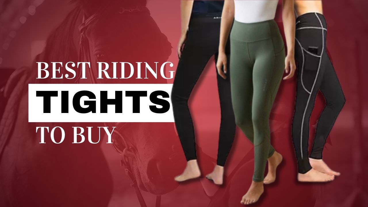 Ride in Style & Comfort: The 6 Best Riding Tights [2023]