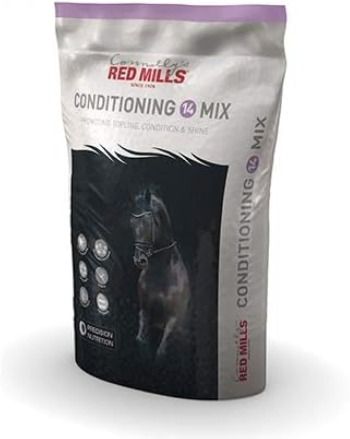 Best feed for racehorses