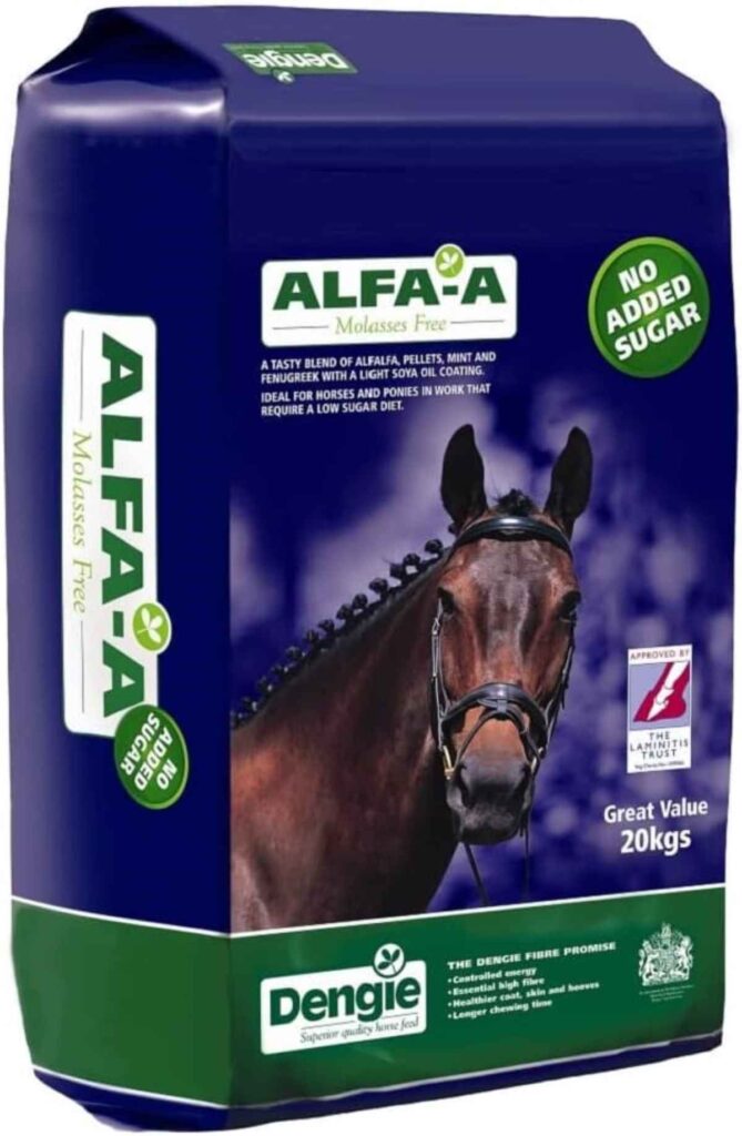 Best feed for fussy horses