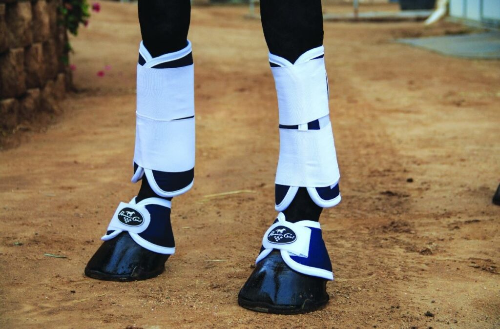 Best magnetic boots for horses