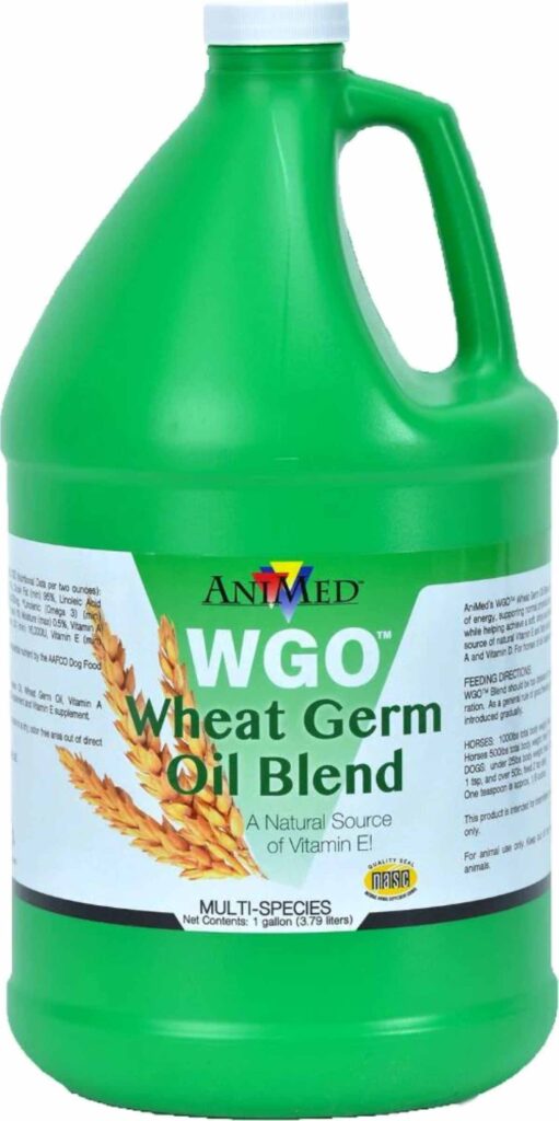 Wheat germ oil for horses with ulcers