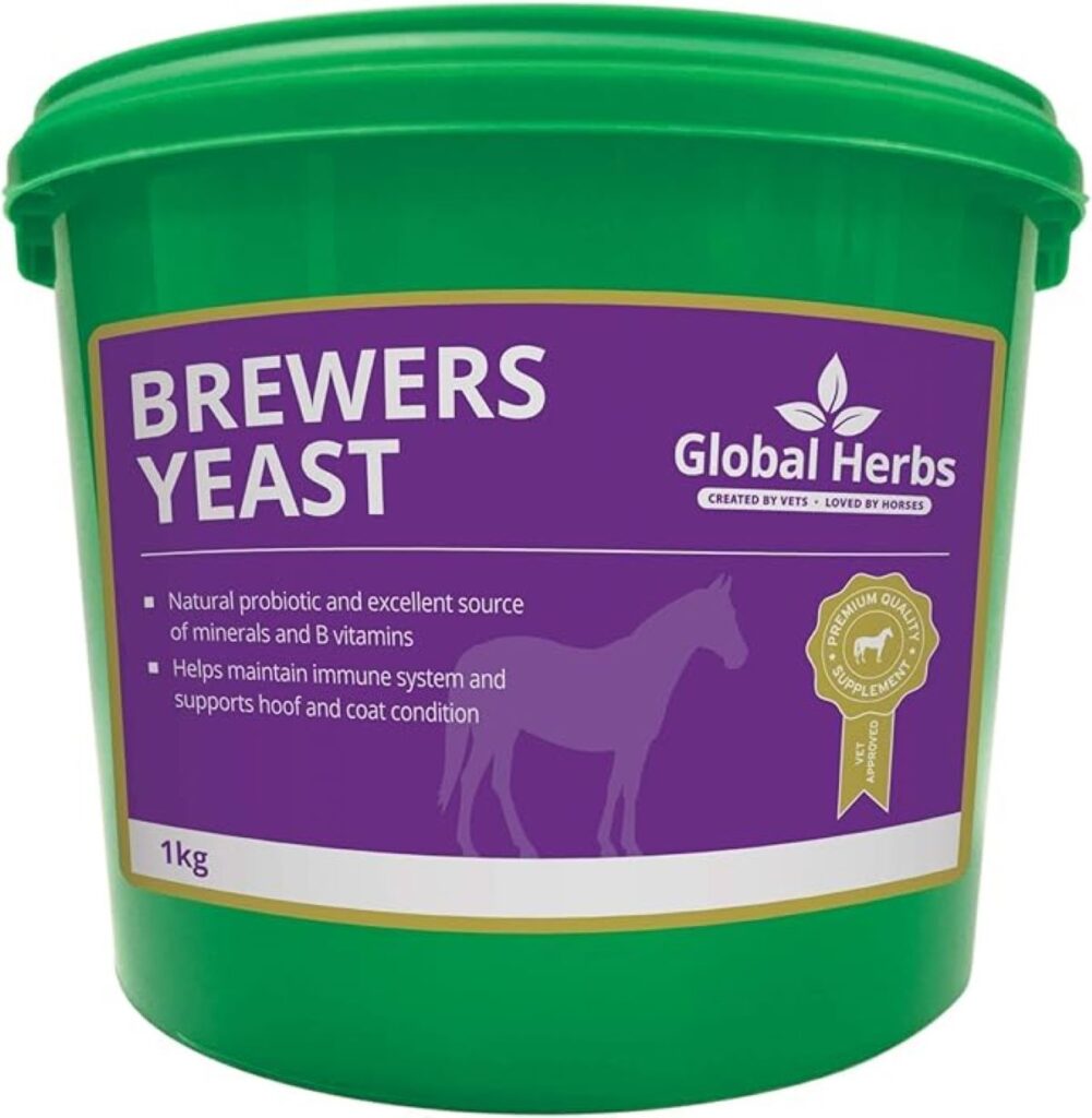Yeast for treating ulcers in horses