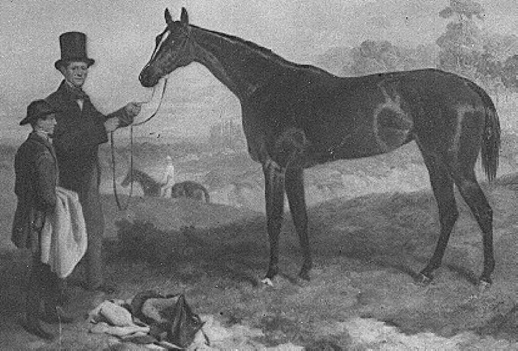 William I'Anson and Bonnie Scotland the horse